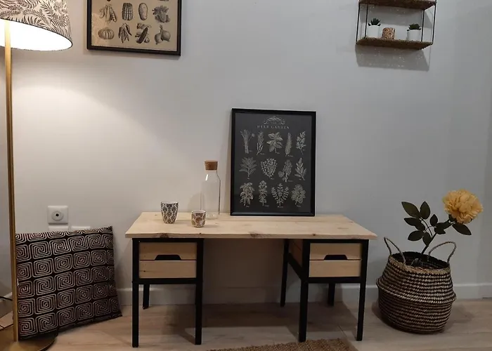 LOUHANS Les Petites Arcades avec ses deux appartements coté seille et coté jardin