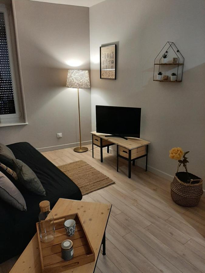 Appartement Les Petites Arcades Avec Ses Deux Coté Seille Et Coté Jardin