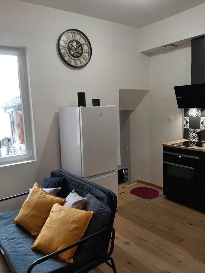 Appartement Les Petites Arcades Avec Ses Deux Coté Seille Et Coté Jardin
